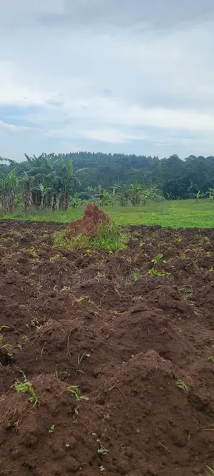 Mukono Nkokonjeru Ssi 5acres of Land on Sale 20m Each Titled