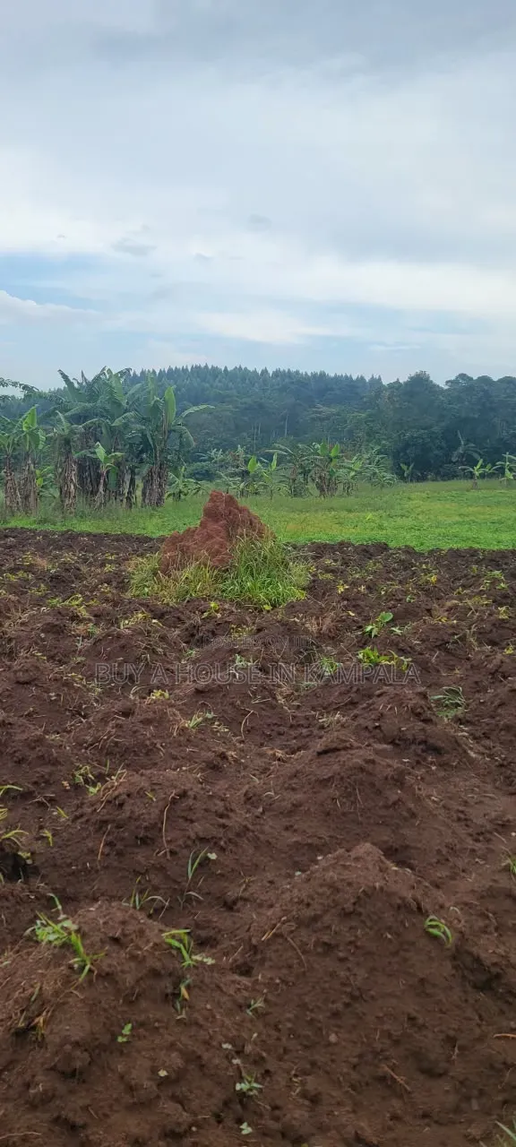 Mukono Nkokonjeru Ssi 5acres of Land on Sale 20m Each Titled