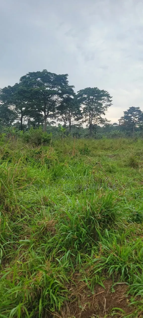 Mukono Nkokonjeru Ssi 5acres of Land on Sale 20m Each Titled