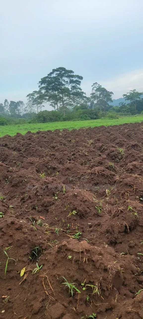 Mukono Nkokonjeru Ssi 5acres of Land on Sale 20m Each Titled