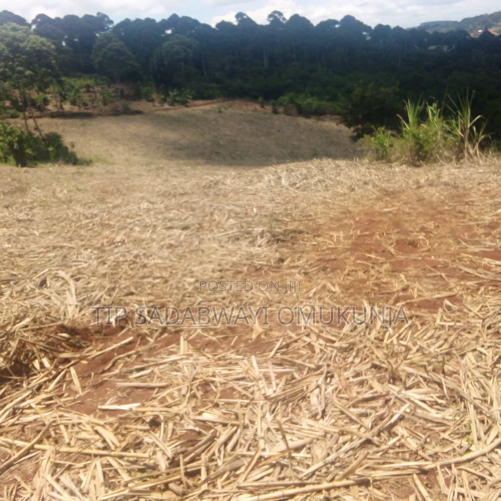 Land for Sale in Buikwe District