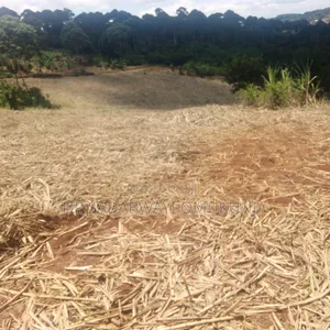 Land for Sale in Buikwe District