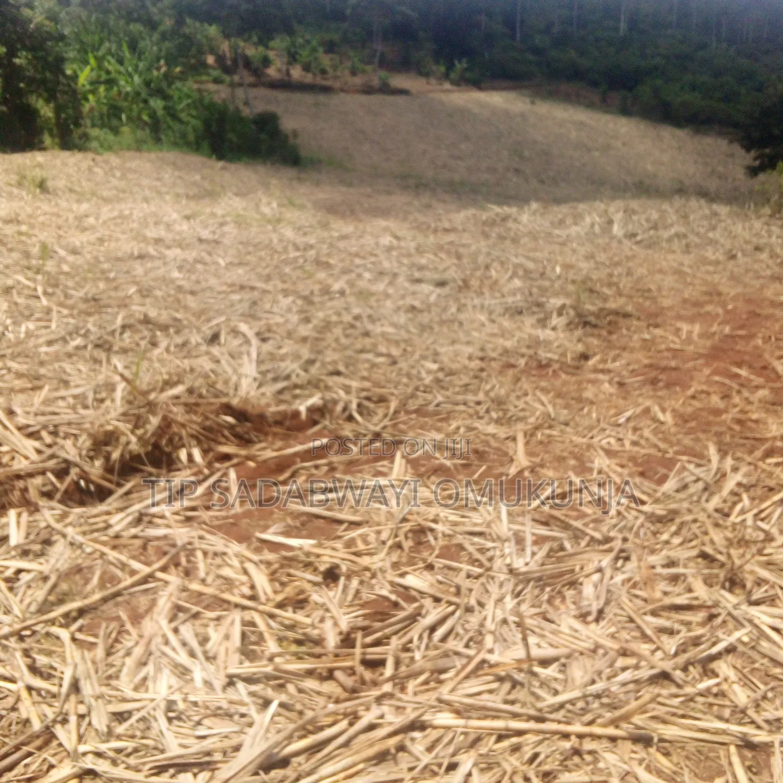 Land for Sale in Buikwe District