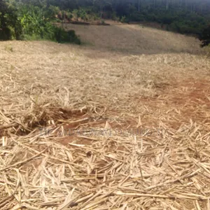 Land for Sale in Buikwe District