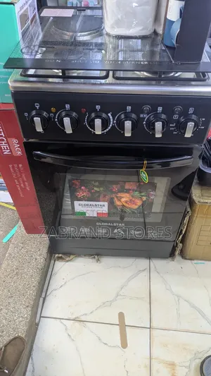 4-in-1 Gas/Electric Cooker With an Oven