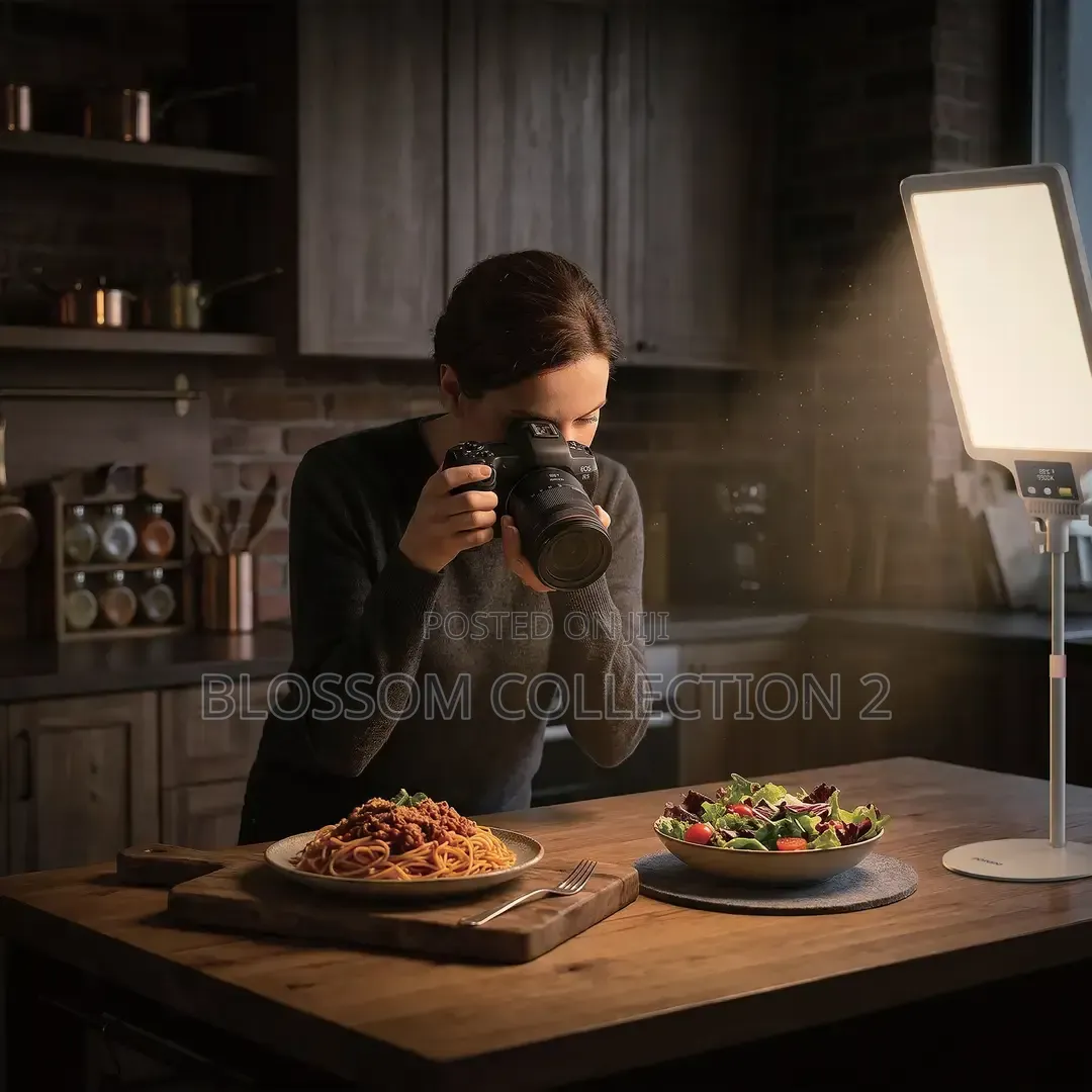 Porodo Lifestyle Cannes Frame 19" Rechargeable LED Fill Light