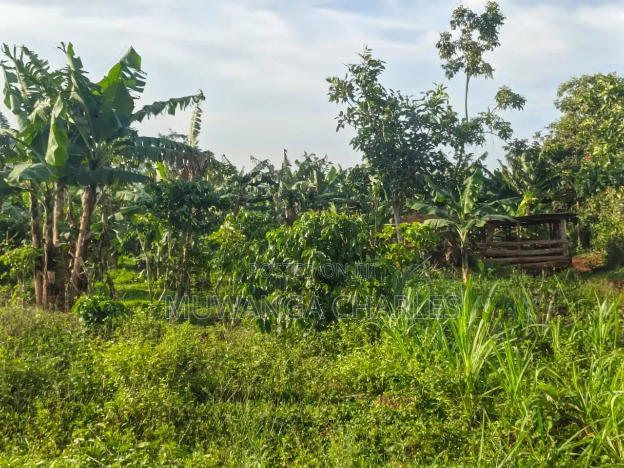 Land on Sale at Luwero Katumu
