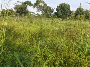 Land on Sale at Luwero Katumu