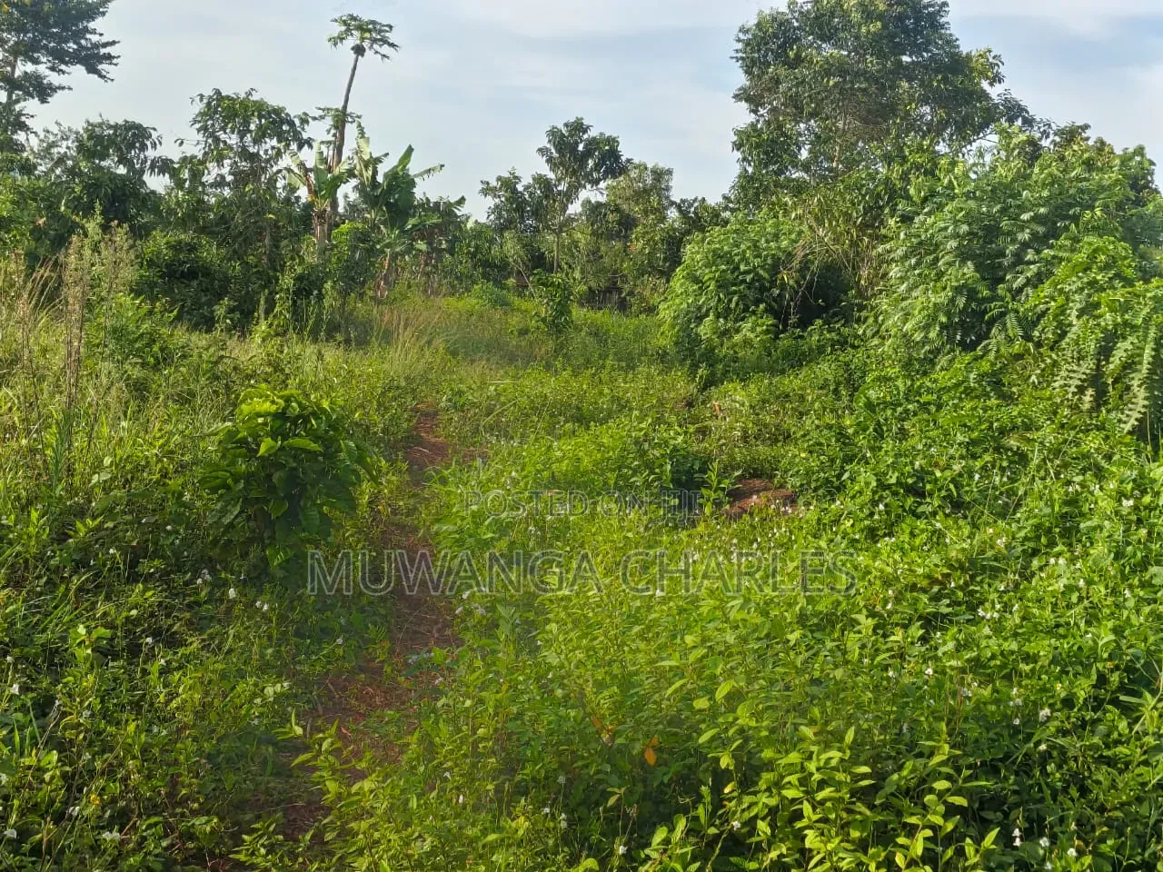 Land on Sale at Luwero Katumu