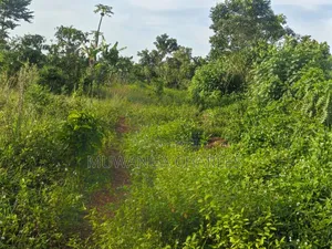Land on Sale at Luwero Katumu