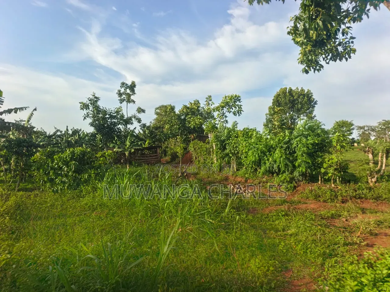 Land on Sale at Luwero Katumu