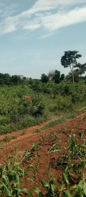15acres on Sale at Luwero Kamira