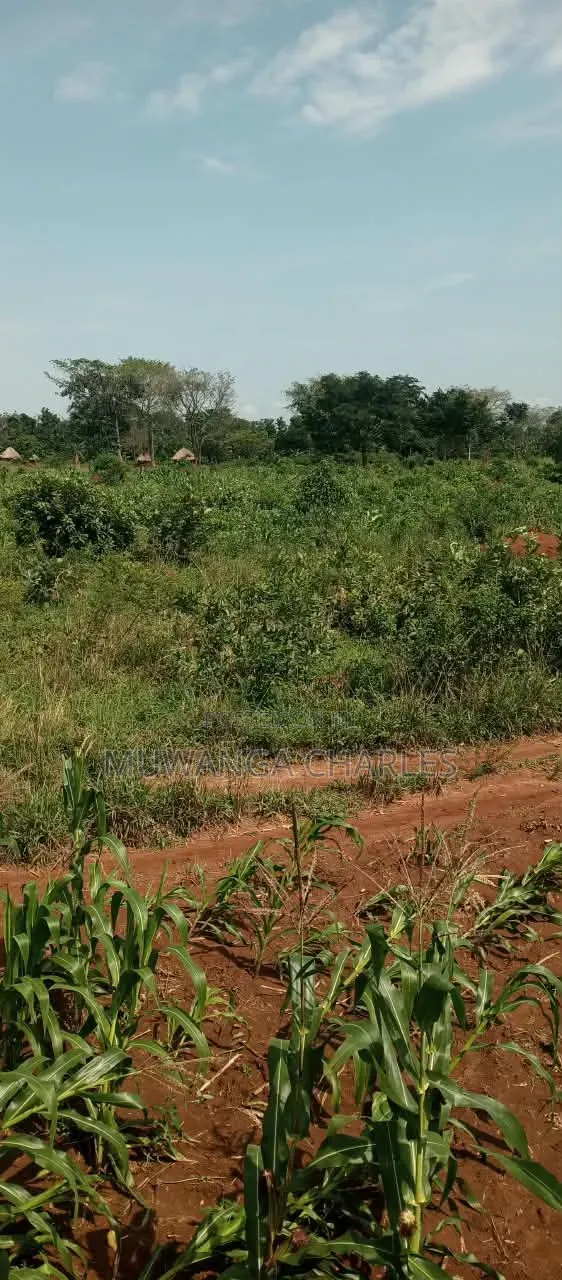 15acres on Sale at Luwero Kamira