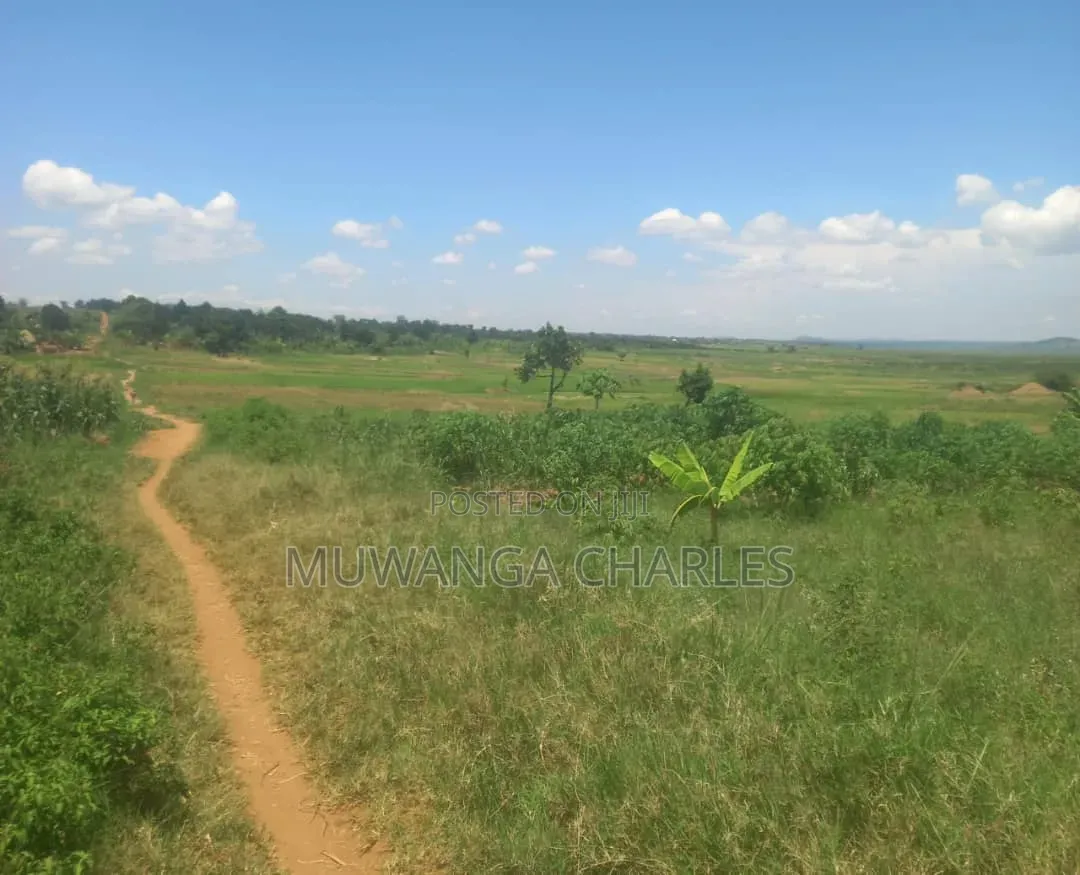 100 Acres on Sale at Nakasongola Kakooge