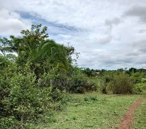 100 Acres on Sale at Nakasongola Kakooge