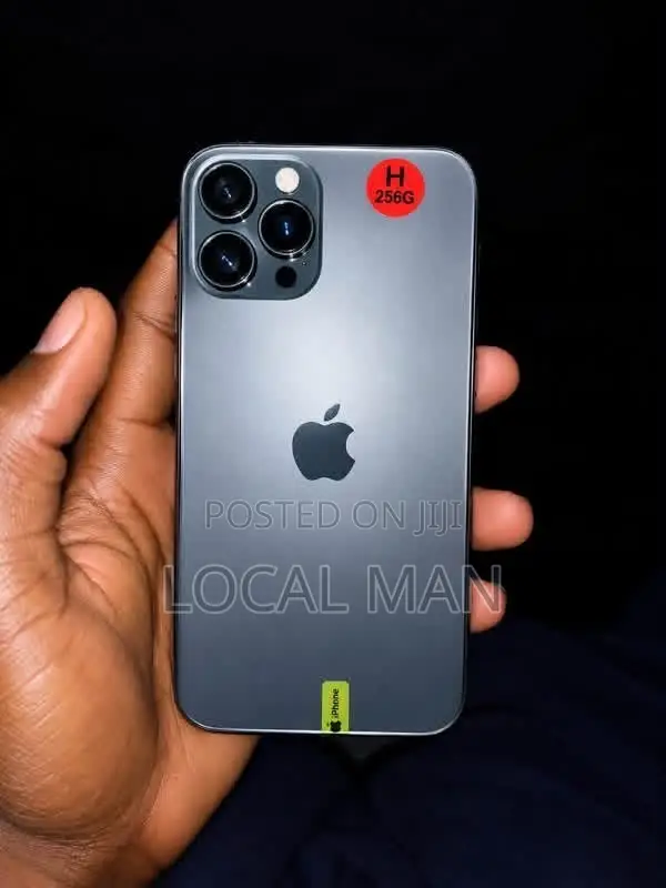 Apple iPhone 11 Pro 256 GB Gray