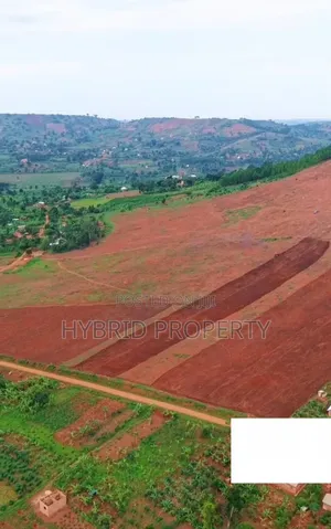 35Acres of Land for Sale at Kibanga~Kamengo Project Along Masaka Road