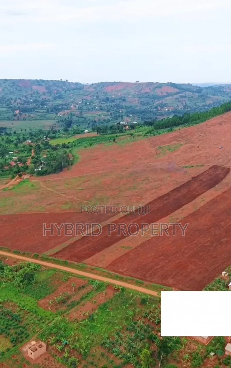 35Acres of Land for Sale at Kibanga~Kamengo Project Along Masaka Road
