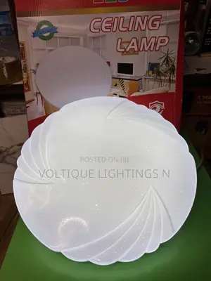 Ceiling Light