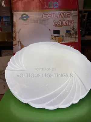 Ceiling Light