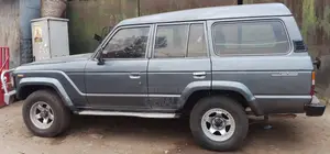 Toyota Land Cruiser Wagon 4.0 D 1989 Gray