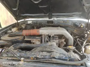 Toyota Land Cruiser Wagon 4.0 D 1989 Gray