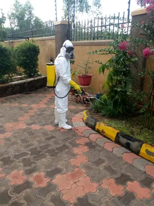 Compound Fumigation for Ants, Drainage Systems, Mosquitoes