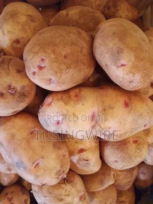 Sweet Irish Potatoes