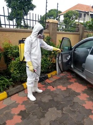 Cockroach Fumigation in Cars, Houses and Manholes