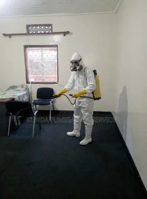 All Insects House Fumigation.