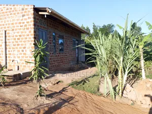 1bdrm Townhouse/Terrace in Bukananga Road, Mityana TC for sale