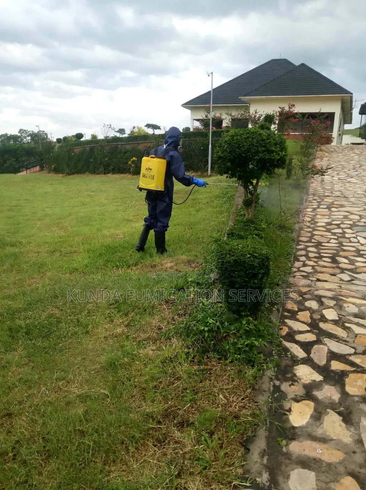 Apartment Fumigation (Indoors and Outdoors)