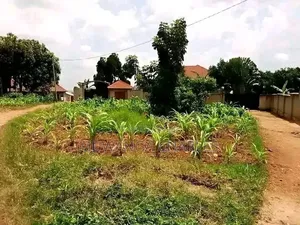 Plot on Sale at Busika Zone 1
