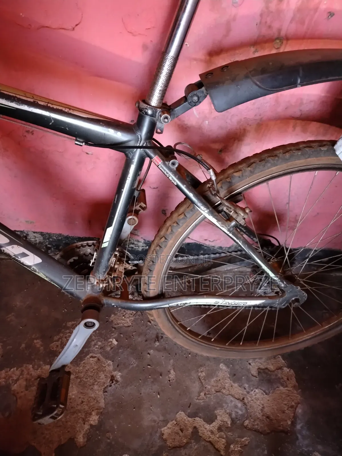 Stinger Bike