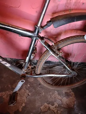 Stinger Bike