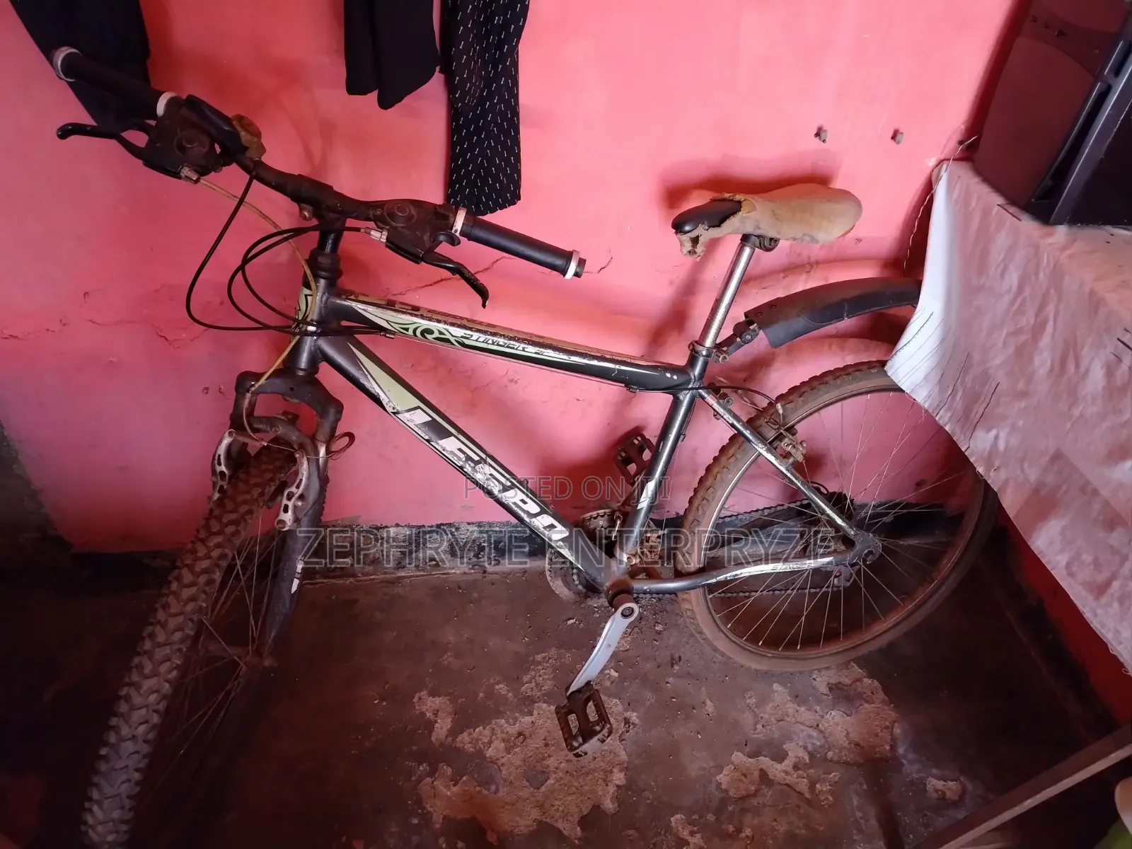 Stinger Bike