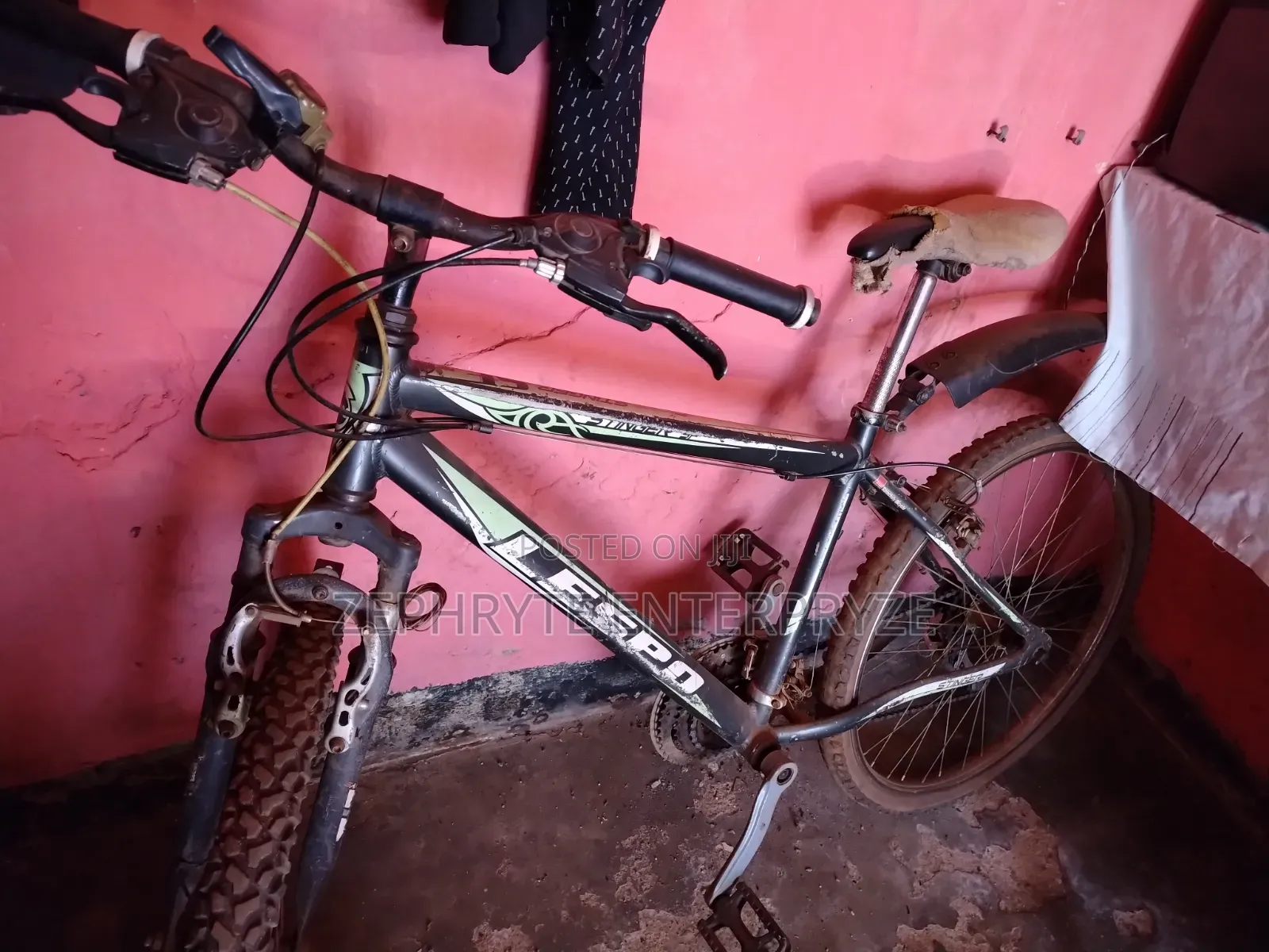 Stinger Bike