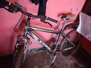 Stinger Bike