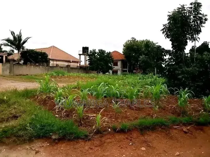 Plots on Sale at Gombe Kiwebwa