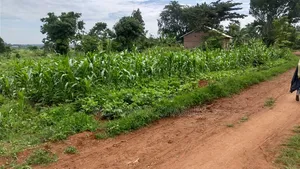 Plots on Sale at Matugga Kitungwa