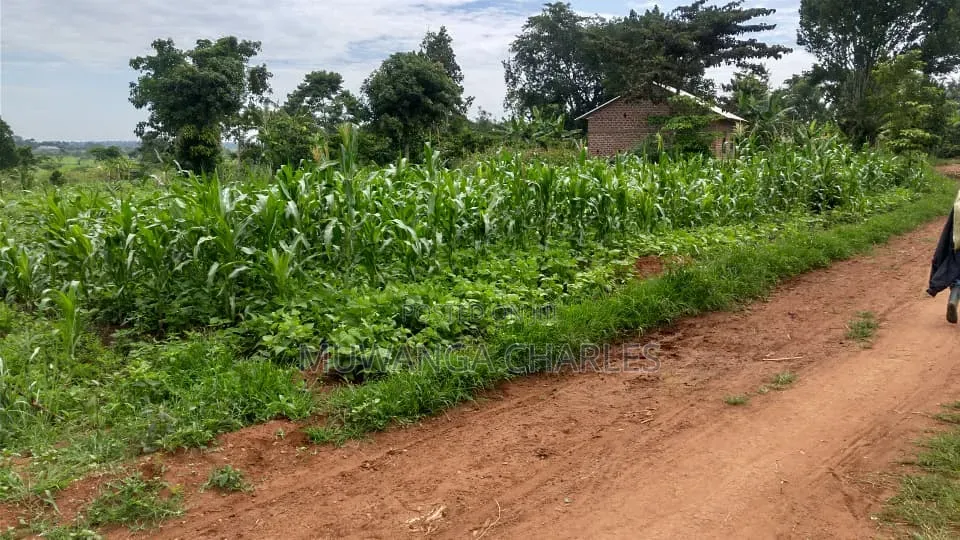 Plots on Sale at Matugga Kitungwa