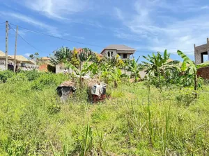 100by100ft Plot on Sale Masooli Kitetika