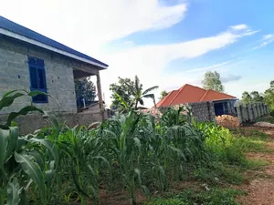 100by50ft Plot on Sale at Kitungwa Gombe 1