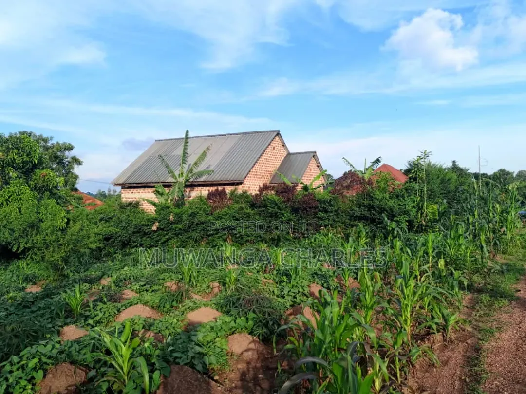 100by50ft Plot on Sale at Kitungwa Gombe 1