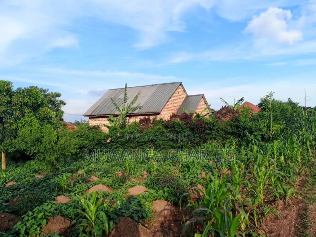 100by50ft Plot on Sale at Kitungwa Gombe 1