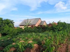100by50ft Plot on Sale at Kitungwa Gombe 1