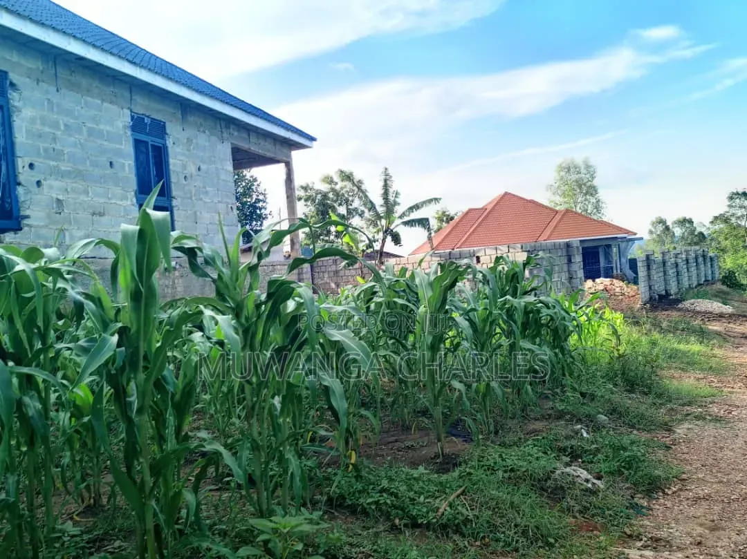 100by50ft Plot on Sale at Kitungwa Gombe 1