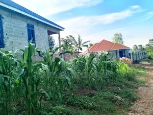 100by50ft Plot on Sale at Kitungwa Gombe 1