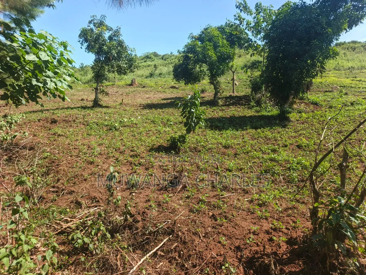 Land on Sale at Busula Bombo Road