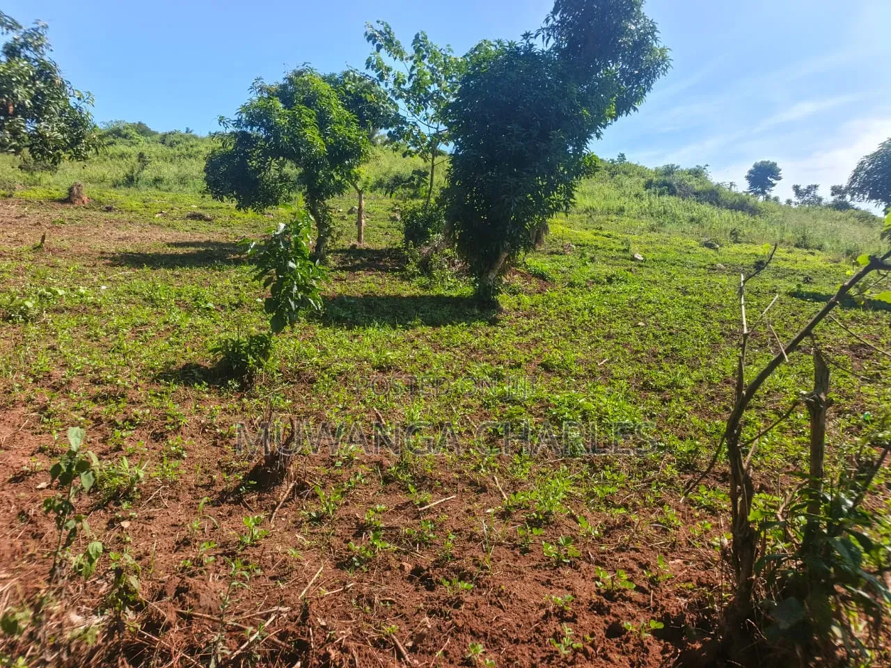 Land on Sale at Busula Bombo Road